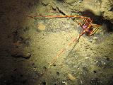 2009-09-09 14-40-02S